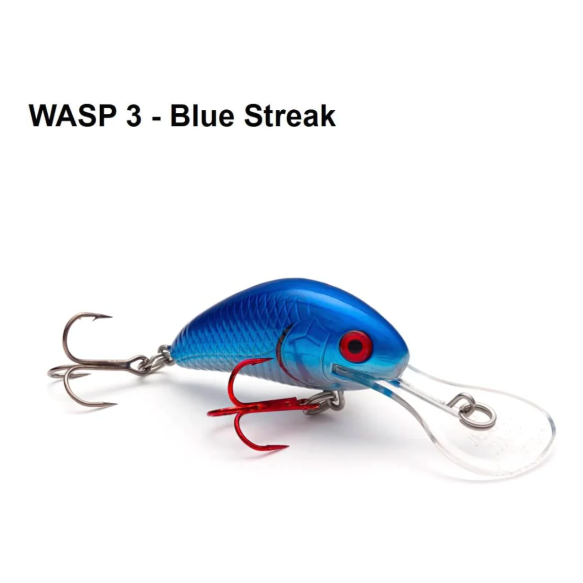 Blue Streak Shad