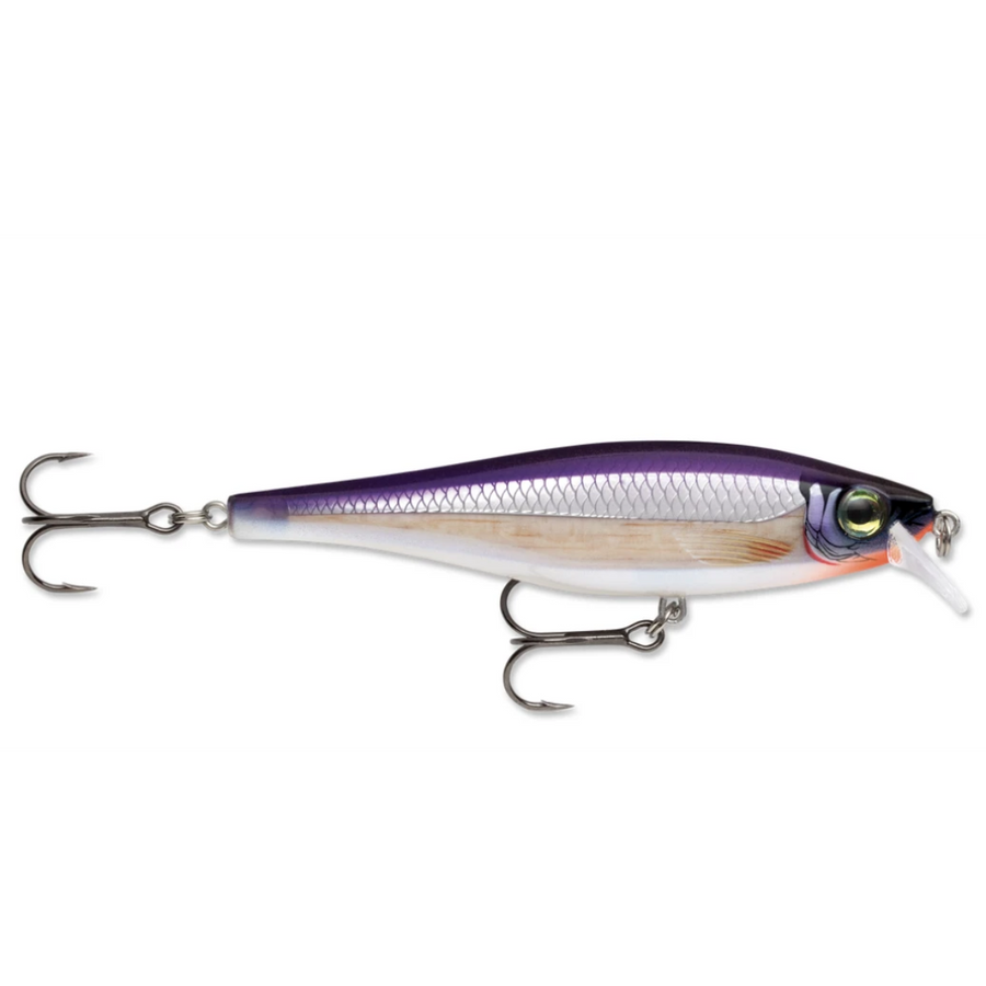 Rapala BX Minnow BXM-10 – Wind Rose North Ltd. Outfitters