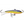 Rapala Jigging Rap W2-Rapala-Wind Rose North Ltd. Outfitters