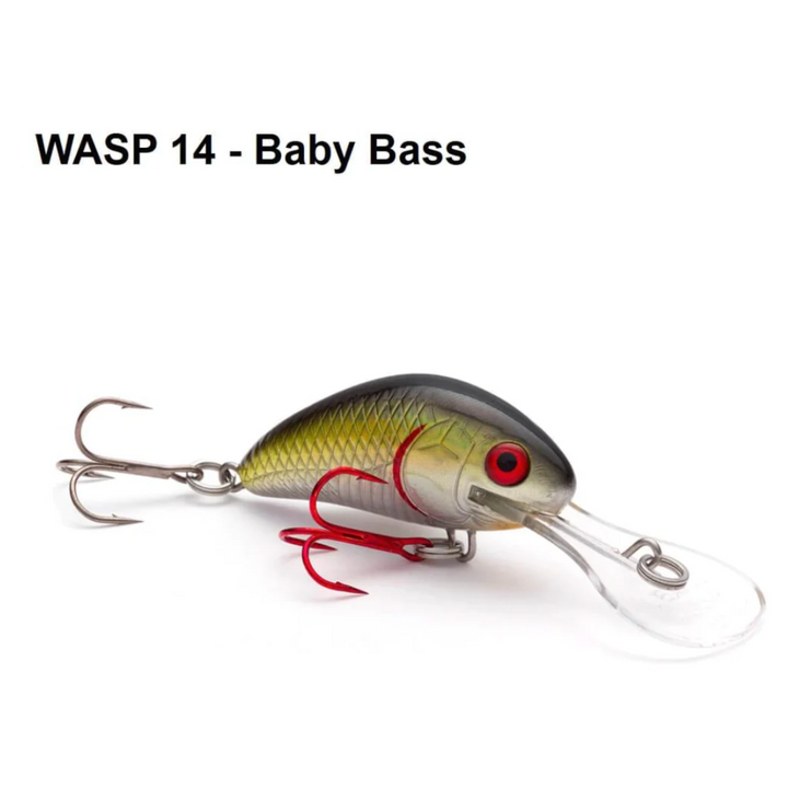 Bandit Walleye Deep – Wind Rose North Ltd. Outfitters